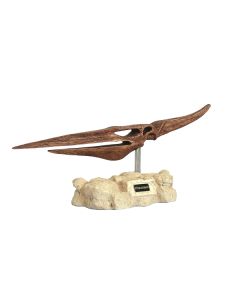 Dinosaurier Pteranodon auf Stein lebensgroß