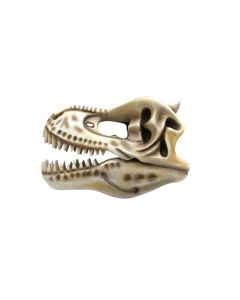 Dinosaurier Tyrannosaurus Skelett Fossil lebensgroß