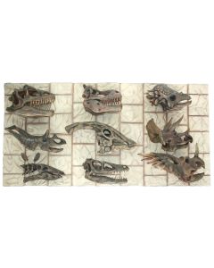 Dinosaurier Kopf Fossilien  lebensgroß