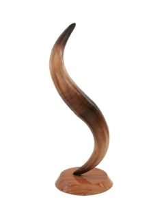 Stierhorn auf Ständer lebensgroß