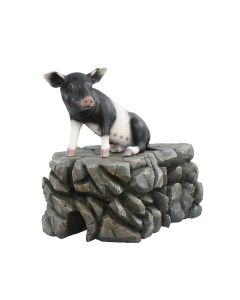 Schwein schwarzweiß sitzend lebensgroß