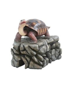 Schildkröte lebensgroß