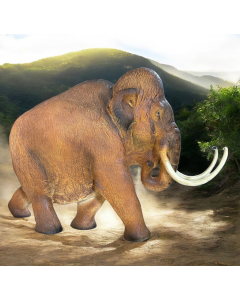 kleines Mammut verkleinert