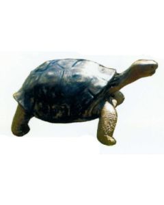 lebensgroße Schildkröte mit Kopf nach oben lebensgroß