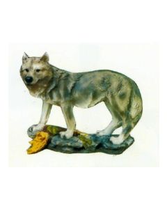Wolf klein hält Ausschau verkleinert