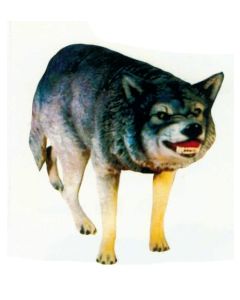 großer wilder Wolf lebensgroß