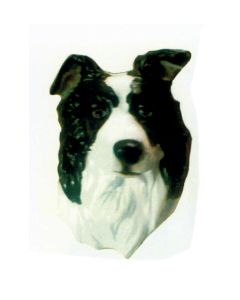 Border Collie Kopf lebensgroß