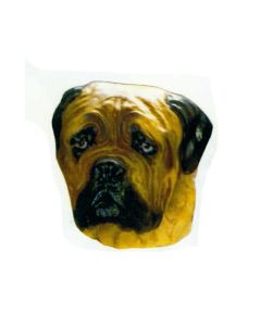 Mastiff Kopf lebensgroß