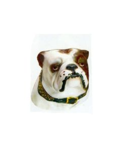 Kopf English Bulldog lebensgroß