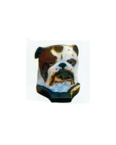 Bulldoggekopf lebensgroß