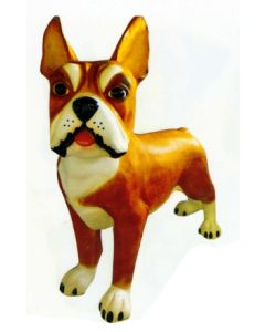 Boston Terrier XXXL braun übergroß XXL