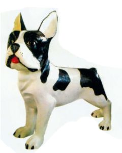 Boston Terrier XXXL weiß schwarz übergroß XXL