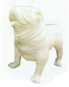 Englische Bulldogge XXXL weiß übergroß XXL
