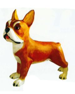 Boston Terrier XXXL braun weiß übergroß XXL