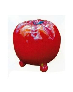 große rote Tomate vergrößert