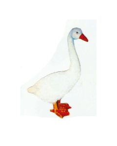 stehende Gans lebensgroß