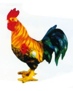 farbiger Hahn lebensgroß