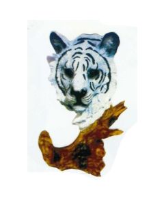 Tigerkopf weiß lebensgroß