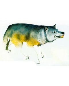 lebensgroßer Wolf mit fletschenden Zähnen lebensgroß