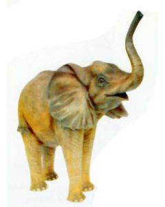 laufender Elefant klein Rüssel oben lebensgroß