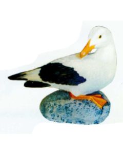 Möwe sitzend auf Stein lebensgroß