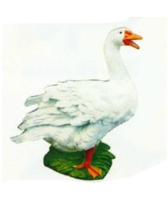 weiße Gans schnatternd auf Wiese lebensgroß