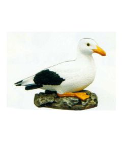 kleine Möwe auf Stein lebensgroß