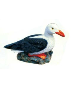 sitzende Möwe lebensgroß