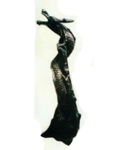 Drache umschlingt Baumstamm mittel verkleinert