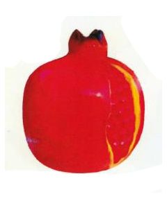 roter Granatapfel vergrößert
