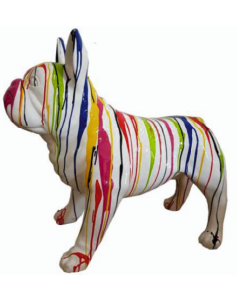französische Bulldogge mit Farbverlauf vergrößert