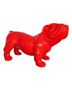 Rote Bulldogge XXL übergroß XXL
