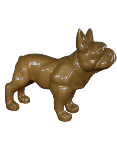 Goldene Bulldogge XL übergroß XXL
