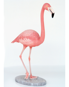 Flamingo lebensgroß