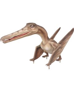 Baby Dino Cearadactylus lebensgroß