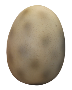 Dinoei klein lebensgroß