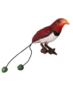 Paradiesvogel lebensgroß