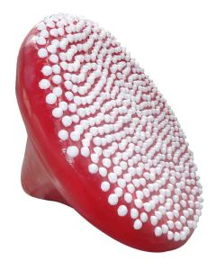 Minzbonbon keine Angabe