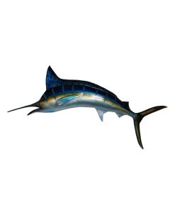 Blue Marlin mit gelben Streifen lebensgroß