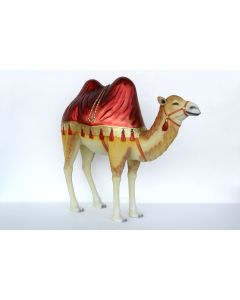 orientalisches Kamel mit rotem Tuch lebensgroß
