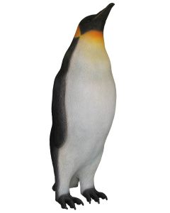 Kaiserpinguin Kopf oben lebensgroß