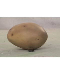 Kartoffel keine Angabe
