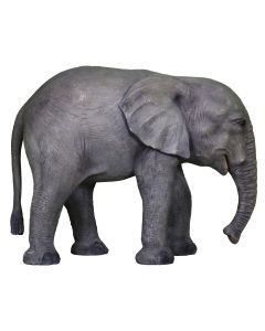 Baby Elefant lebensgroß