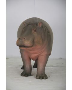 Baby Nilpferd lebensgroß