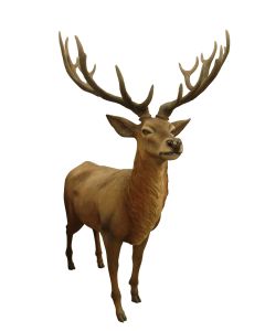 großer Hirsch mit Geweih lebensgroß