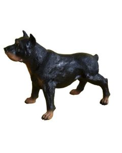 Rottweiler Kampfhund lebensgroß