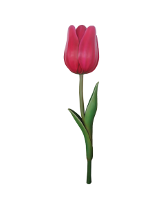 Dekotulpe keine Angabe