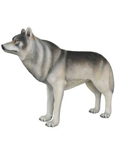 großer Wolf lebensgroß