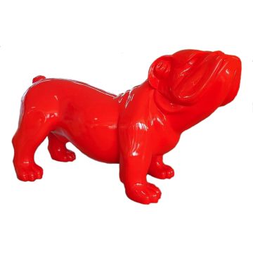 Rote Bulldogge XXL übergroß XXL